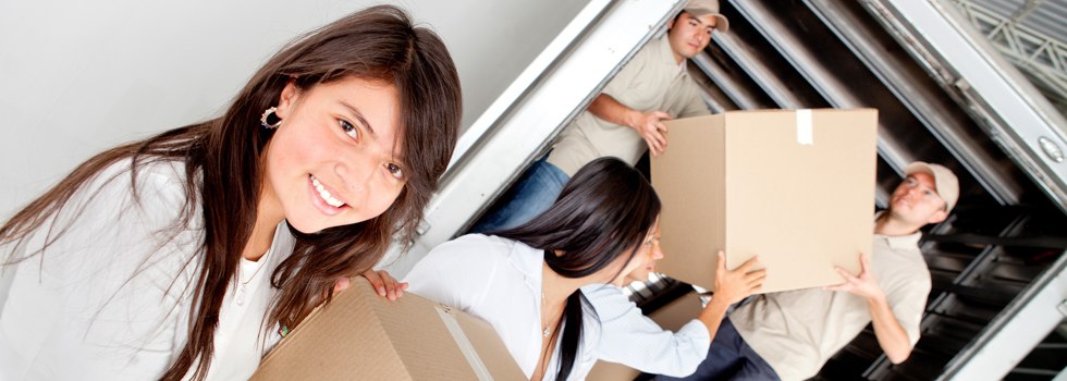 Professional Removalists Broomehill West